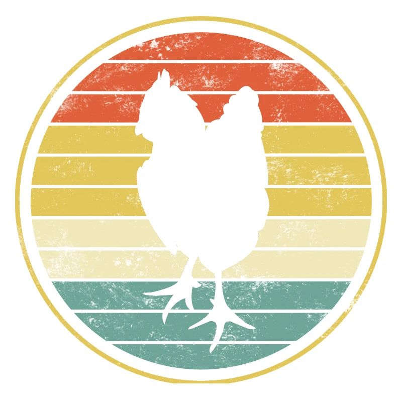 Chicken chickens