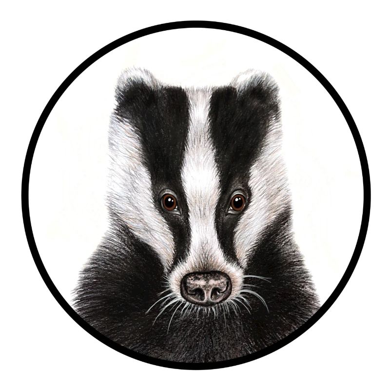 Dachs /Badger mit Logo