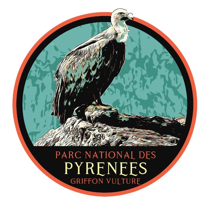 Vautour dans le Parc National des Pyrénées