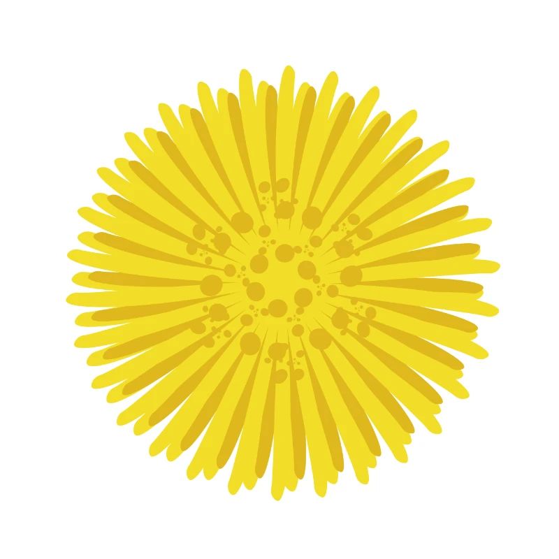 Tussilage