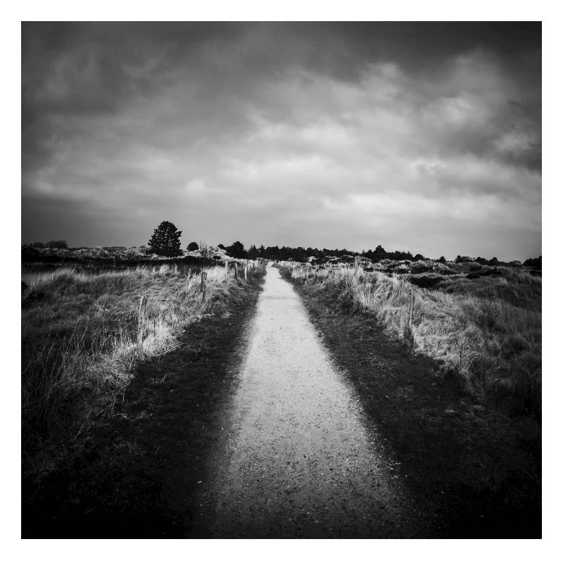 Path Path St. Peter Ording Dunes North Sea Poster