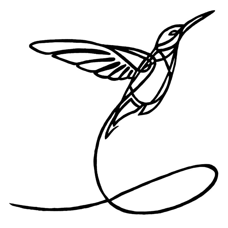 Oiseau étrange noir