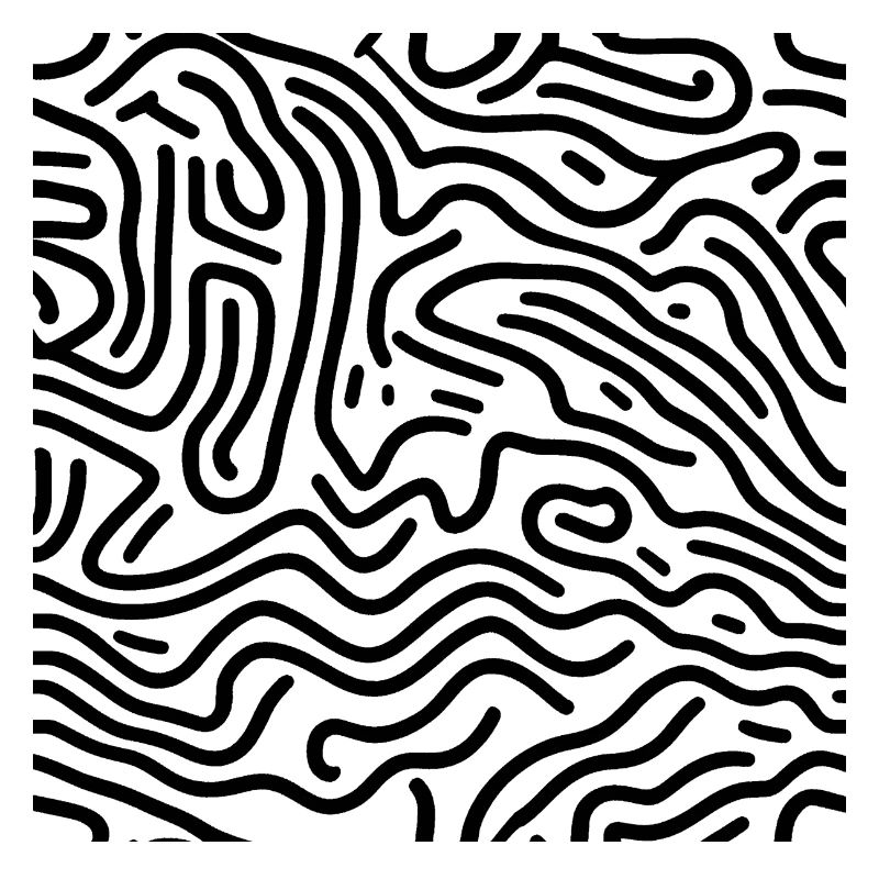 noir et blanc - lignes design