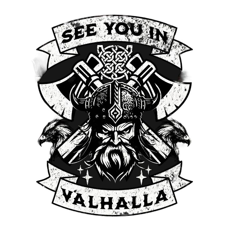Valhalla Warrior Vision