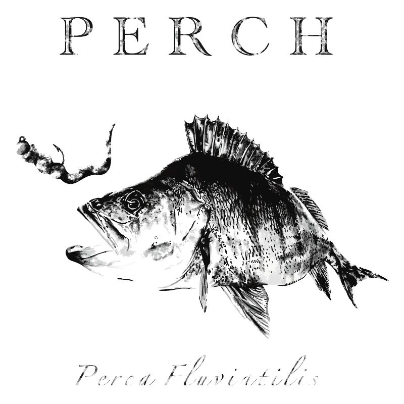 Perch Angler - Artificial lures for predatory fish