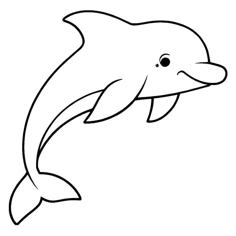 Minimalistic Dolphin