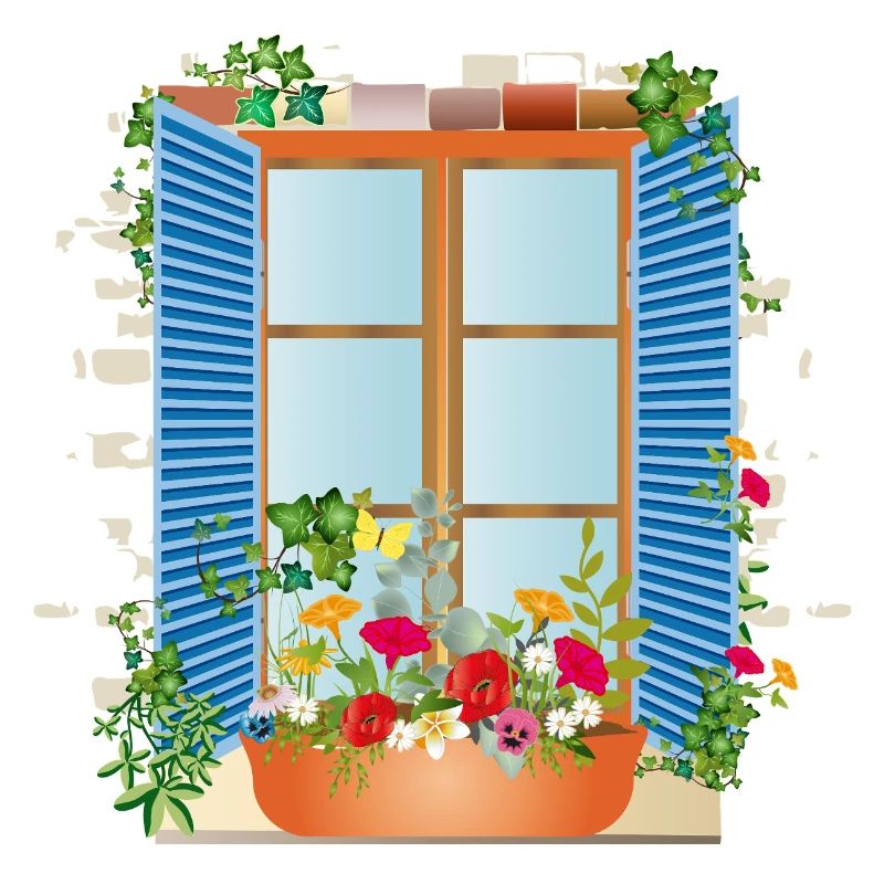 Summer window with flower box