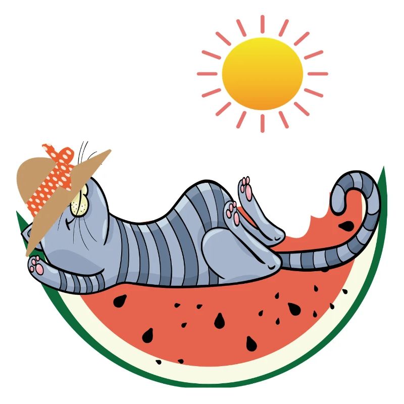 Chat au melon au soleil