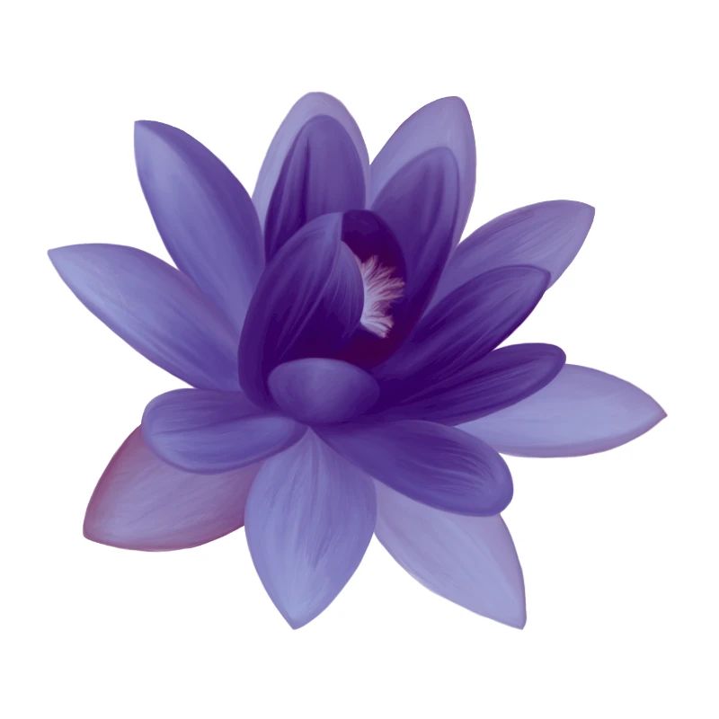 Illustration de fleur