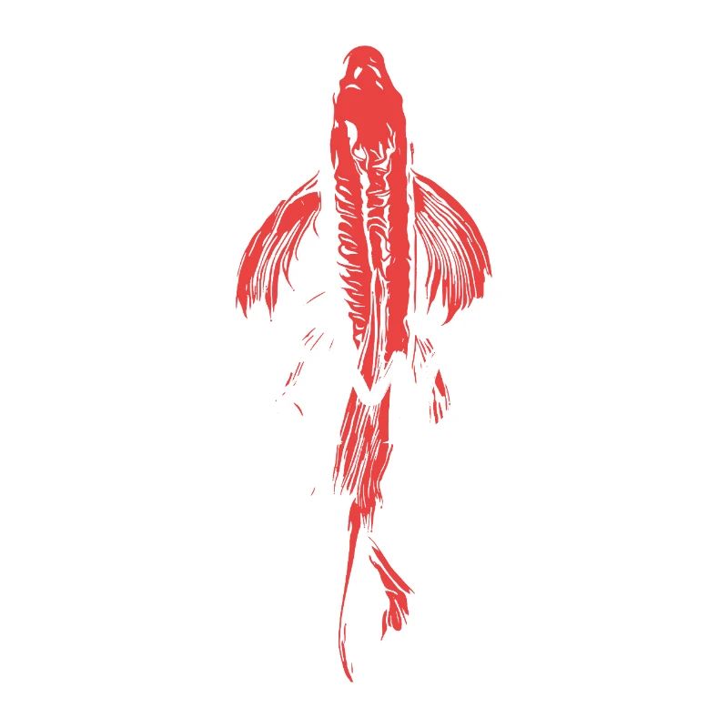 Koi Fish Energetic Harmony