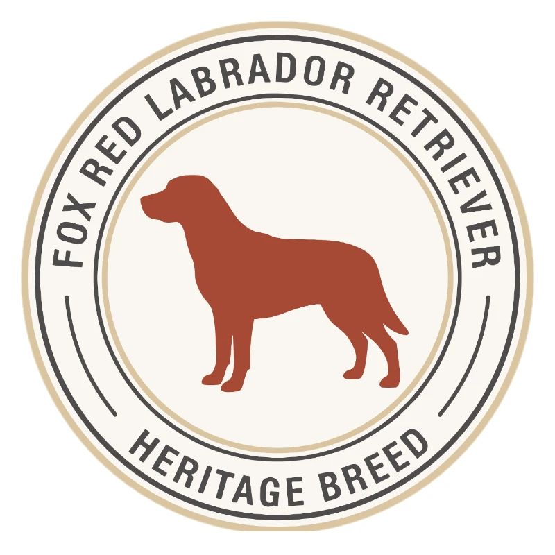 Conception de l’emblème du Labrador Retriever