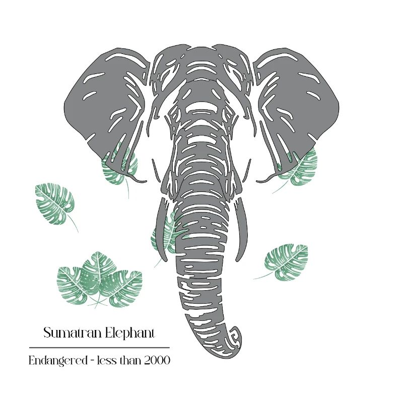 Sumatran_Elephant_-_grey