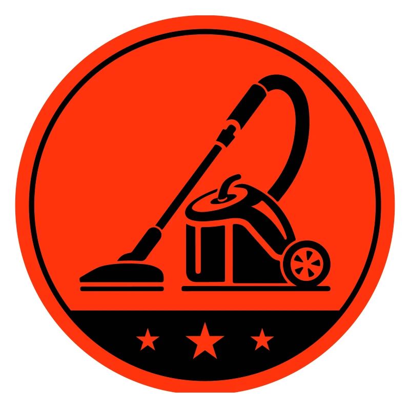 Cleaning vacuum cleaners