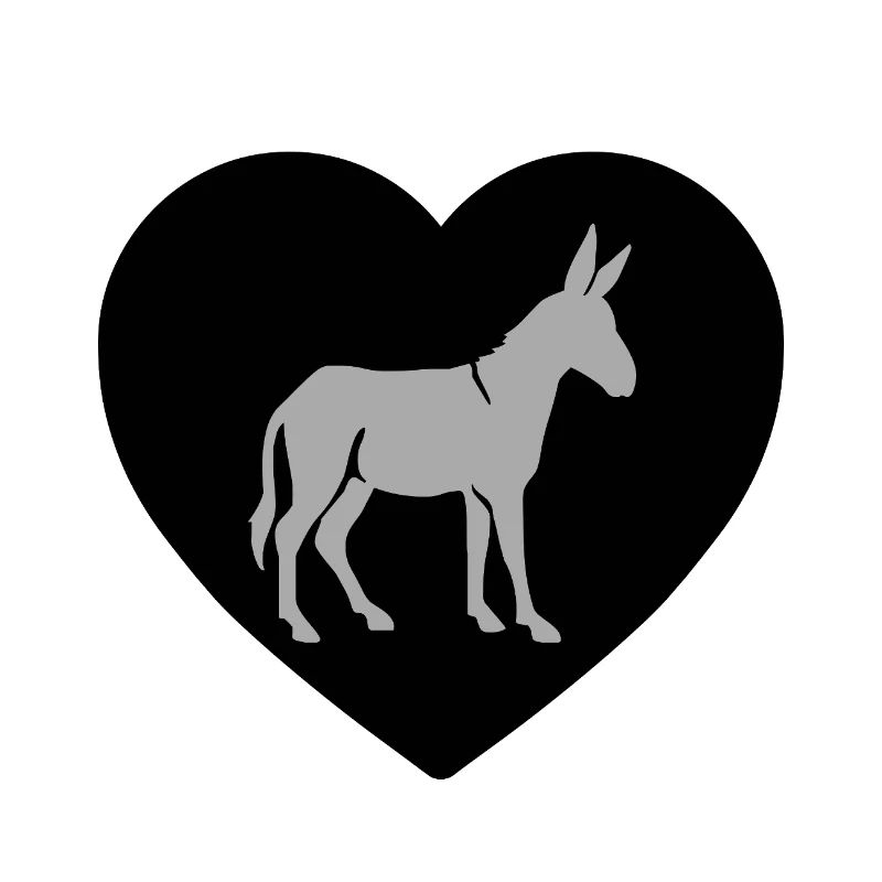 donkey