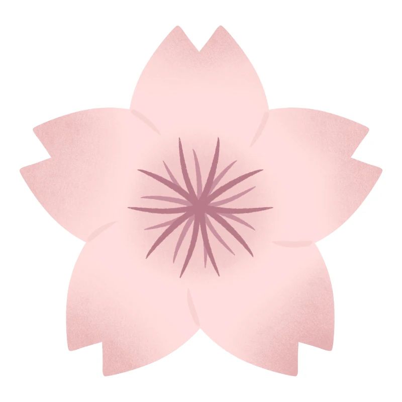 Blush Cherry Bloom
