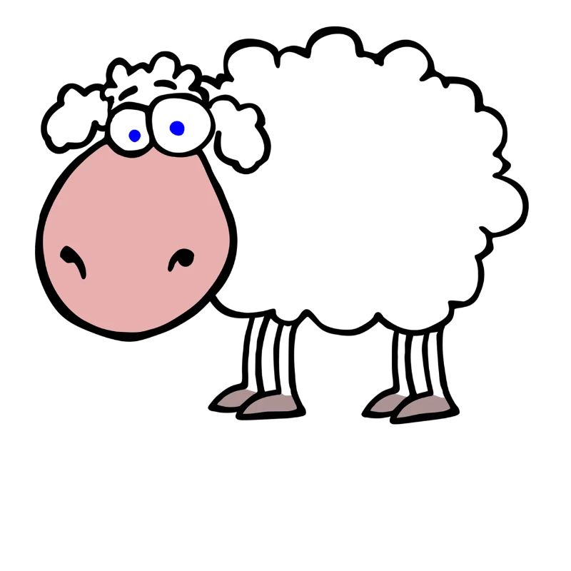 Schaf