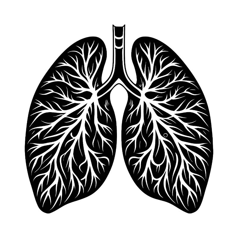 Lungs