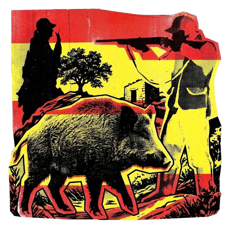 Chasseur Drapeau espagnol Sanglier espagnol