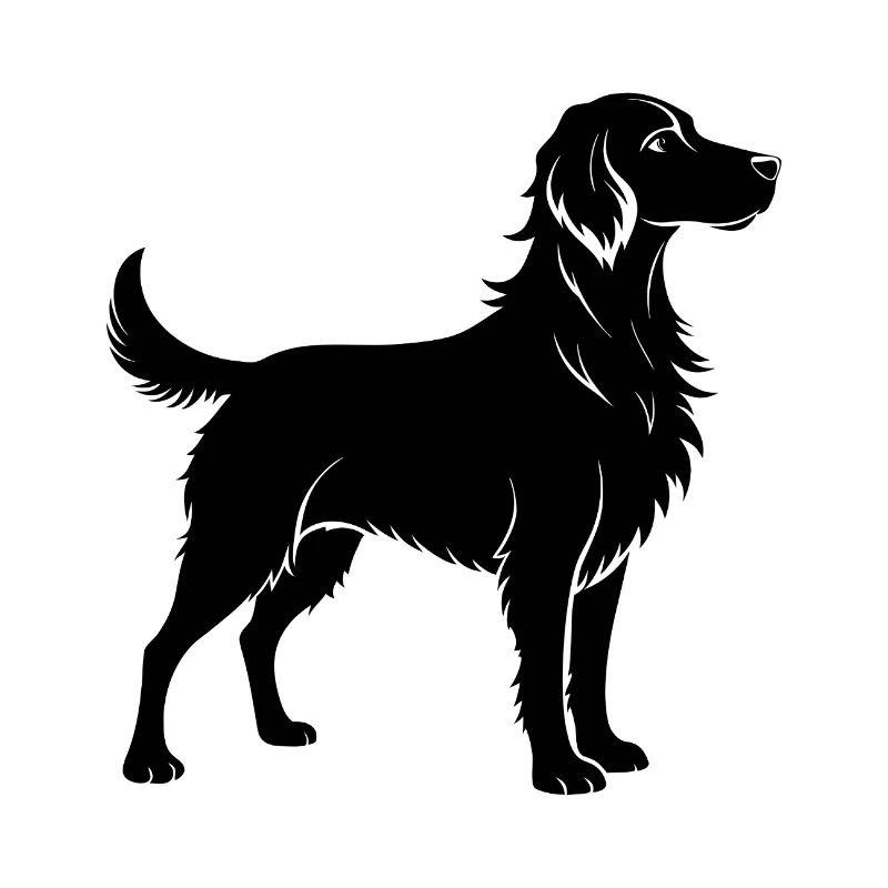 Brittany Dog