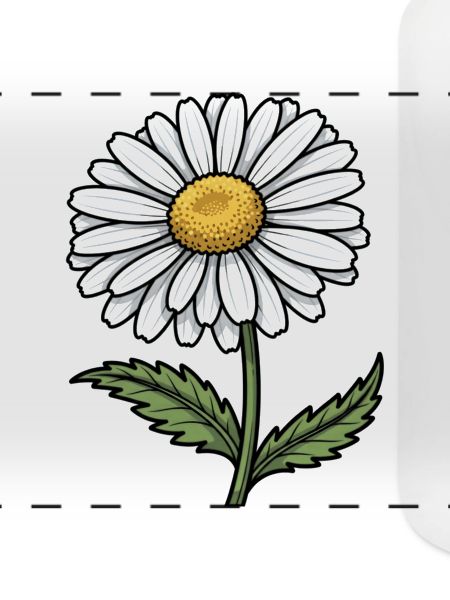 Gänseblümchen