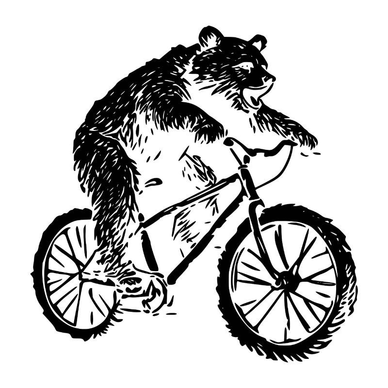 Ours de vélo
