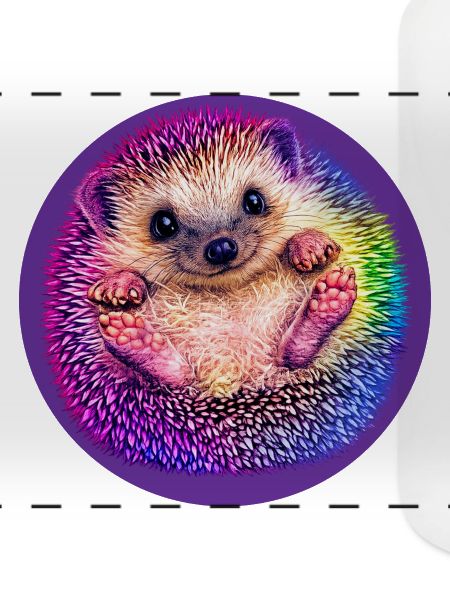Regenbogen-Igel 