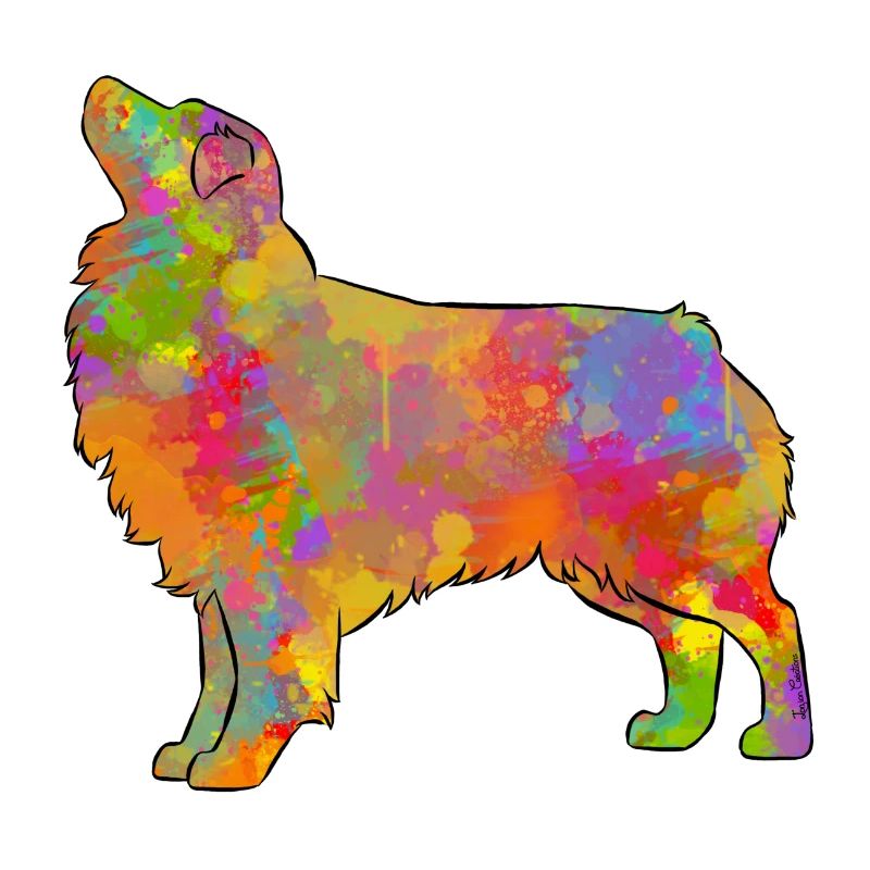 Australian Shepherd Multicolored