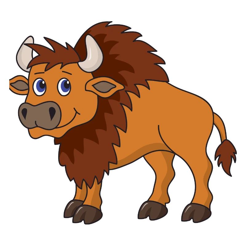Bison Büffel