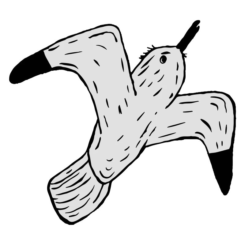 Möwe