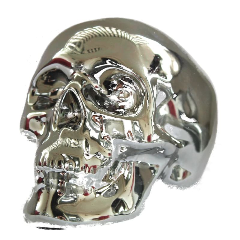 Silver skull