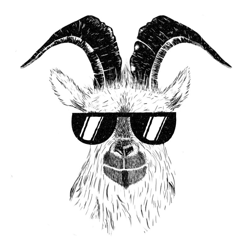 Goat goats
