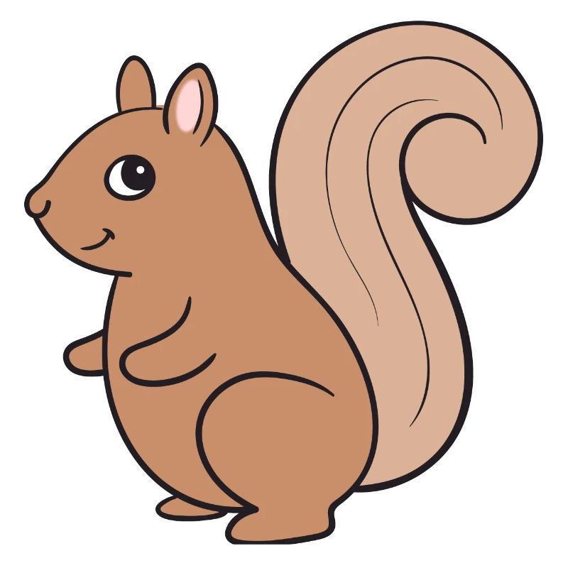 Eichhörnchen
