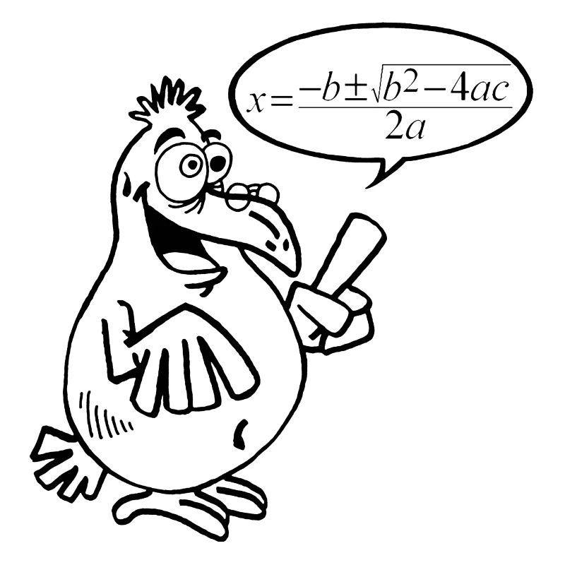 Black Smart Bird