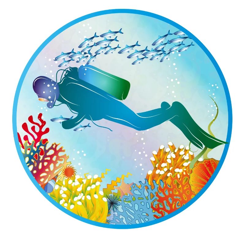 Plongeurs dans la barrière de corail colorée