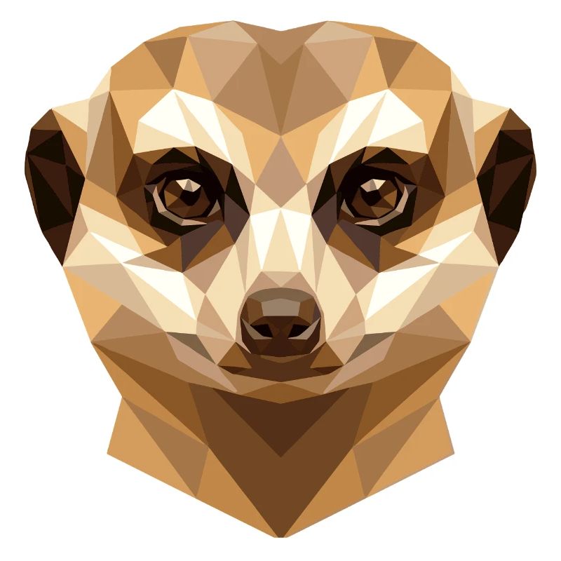 Suricate Suricate Douce Mangouste Suricate