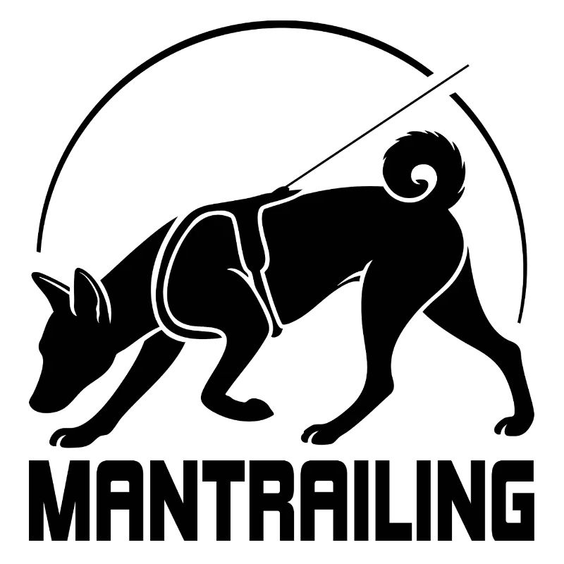 Basenji Mantrailing Hundesport Hunde Wilsigns