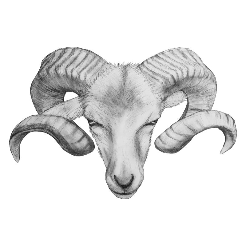 Widder | Sternzeichen