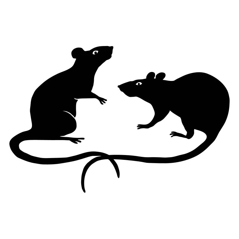 rat rats duo ratty mouse mice animal