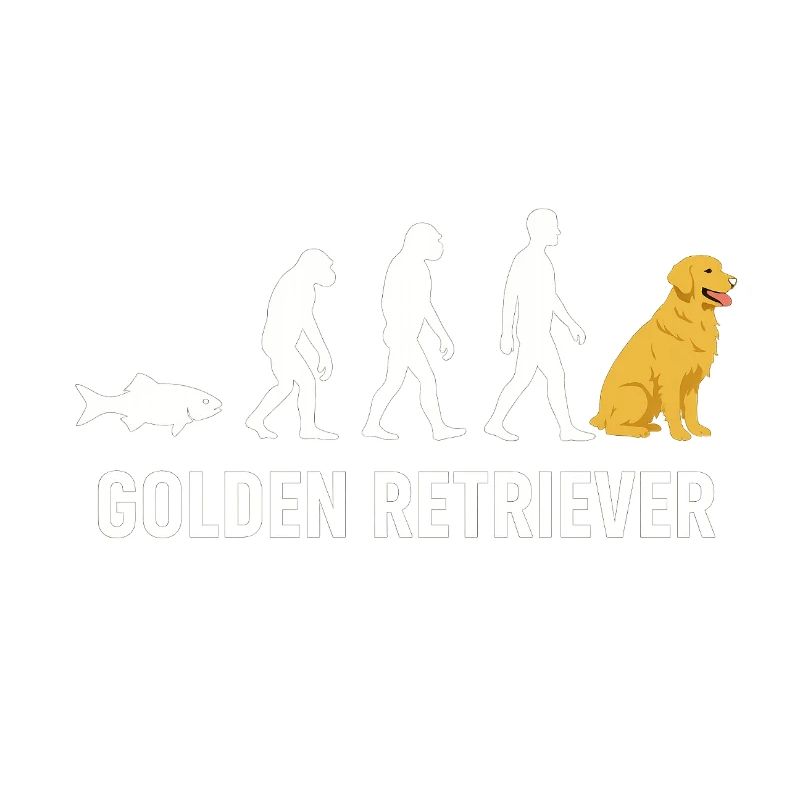 Evolution du Golden Retriever