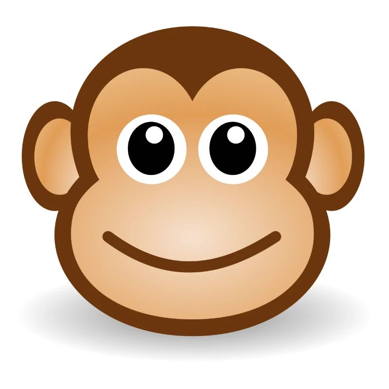 Visage de singe Idée de cadeau