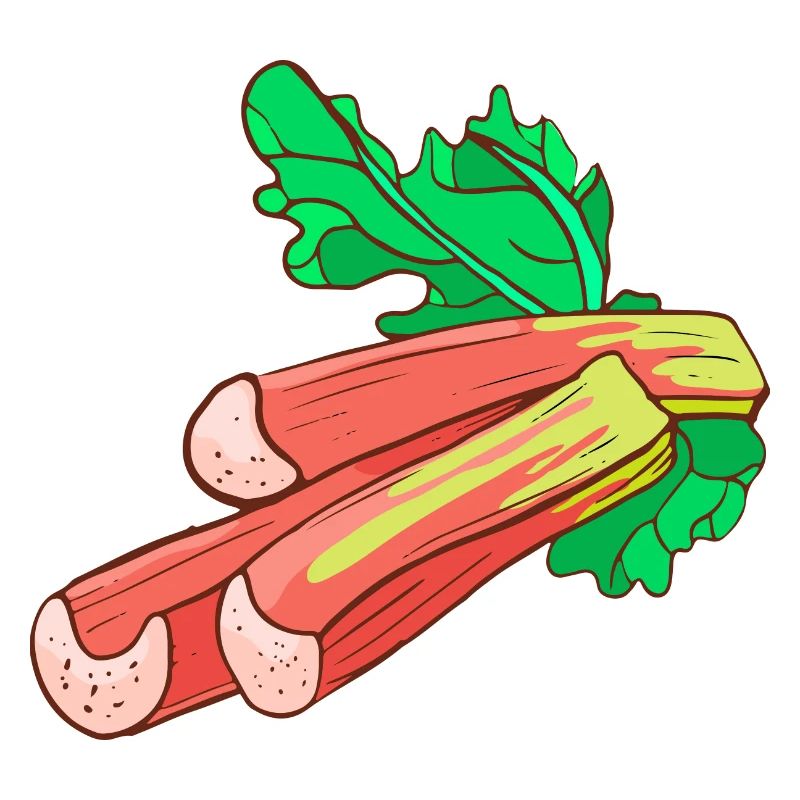 Rhubarbe commun Krauser
