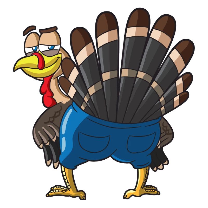 Tailfeathered Turkey Cartoon