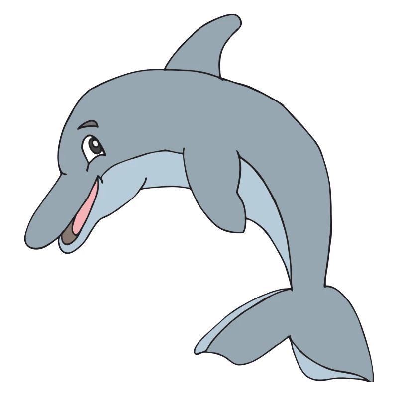 dolphin