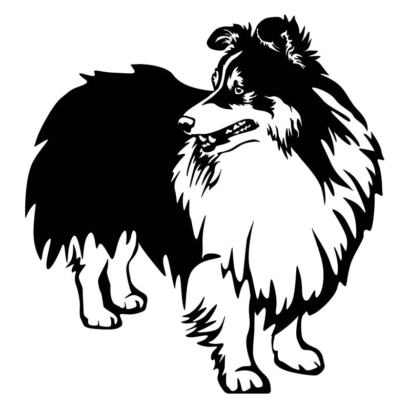 Sheltie