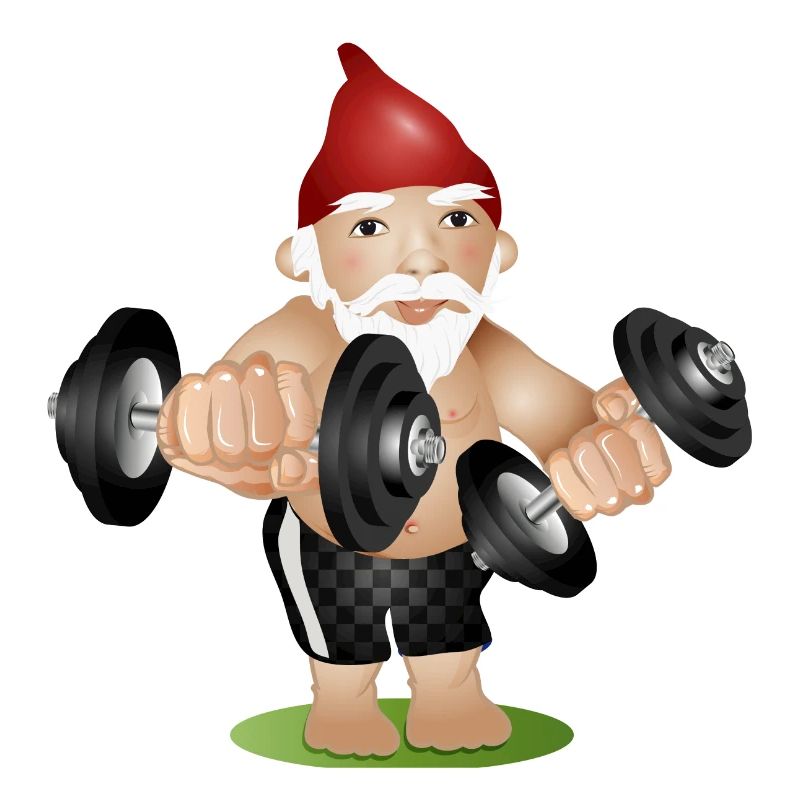 Bodybuilder garden gnome with dumbbells while exercising