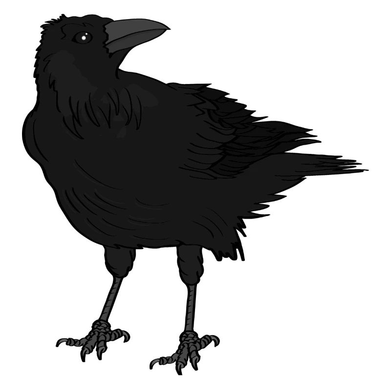 A crow
