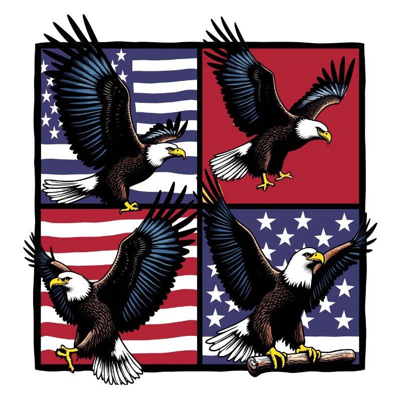 Pygargue à tête blanche