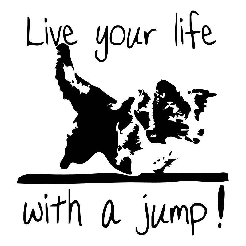 Border Collie - Agility