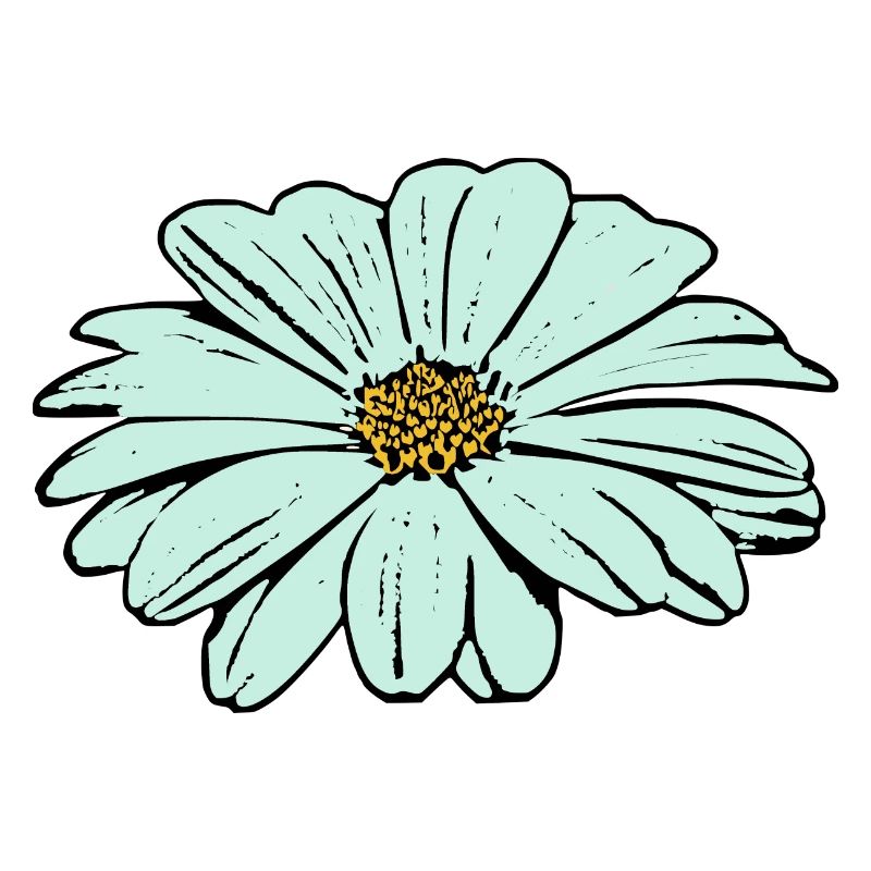 Fleur, bleu clair, fleur bleue