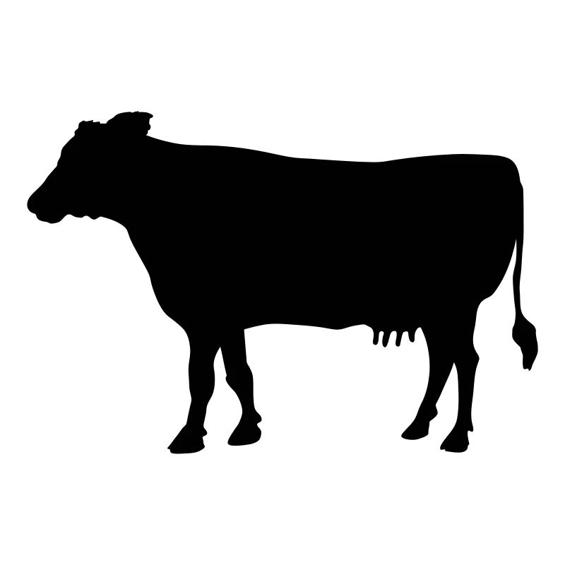 vache